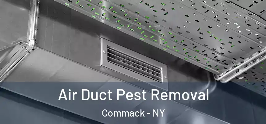 Air Duct Pest Removal Commack - NY