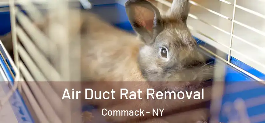  Air Duct Rat Removal Commack - NY