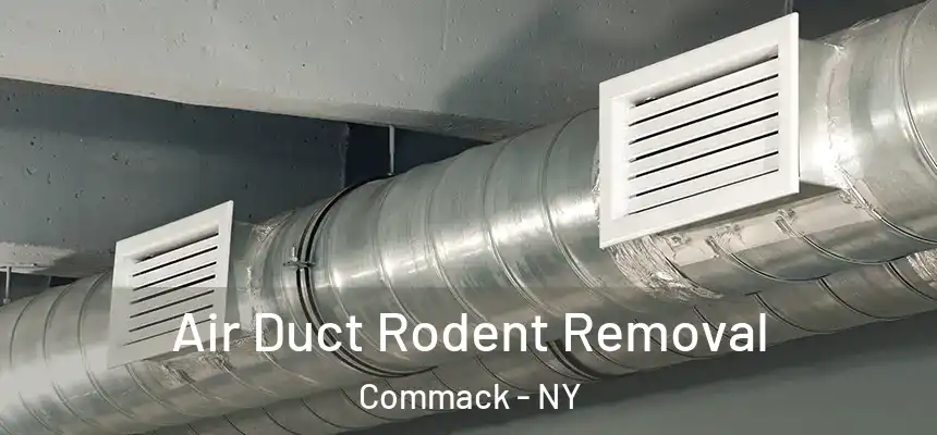 Air Duct Rodent Removal Commack - NY