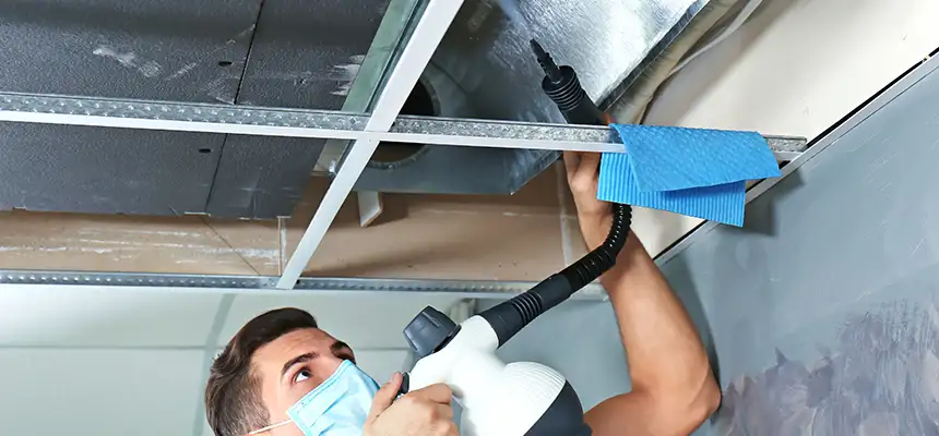 Our Air Duct Rodent Removal Services in Commack, NY