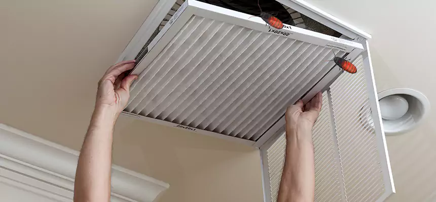 Our Insect Removal from Air Ducts Services in Commack, NY
