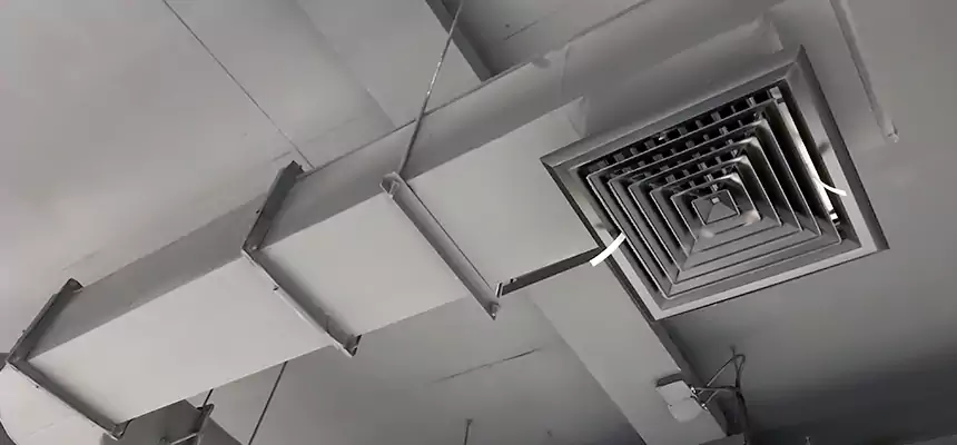 Our Pest Removal From Ducts Services in Commack, NY