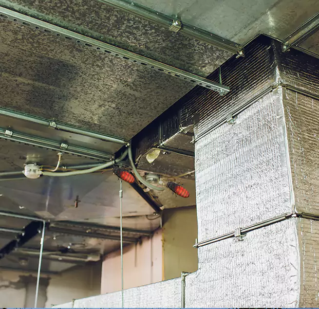 Why Homeowners & Businesses Trust Us in Commack, NY?