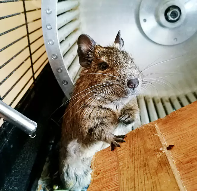 Why Homeowners & Businesses Trust Us Commack, NY?