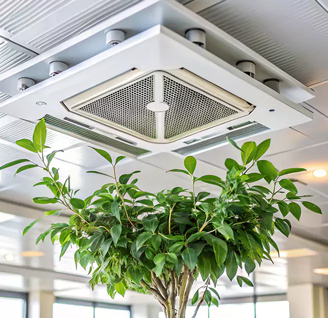 Why Homeowners & Businesses Trust Us in Commack, NY?